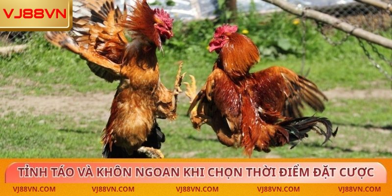 Tỉnh táo và khôn ngoan khi chọn thời điểm đặt cược